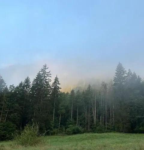 400 Year Old Wooden House