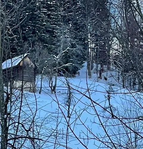 بيت للعطل 400 Year Old Wooden House *