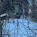 Semesterbostad 400 Year Old Wooden House *